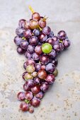 Concord grapes