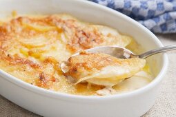 Kartoffelgratin