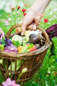 Hand picking up wooden basket of fresh produce