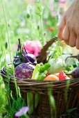 Hand holding basket of fresh produce