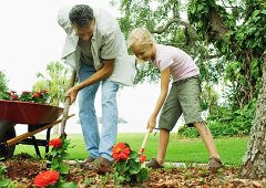 Man and girl planting flowers in yard