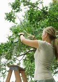 Woman pruning tree