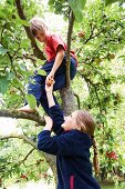 Zwei Kinder pflücken Äpfel am Baum