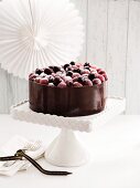 A chocolate mousse cake with blueberries and grapes