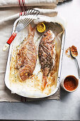 Grilled snapper with romesco sauce