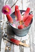 Watermelon and vodka ice lollies in an ice bucket