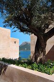 Walls along driveway of modern home with ocean view