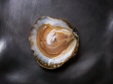 A Prat Arcoum oyster