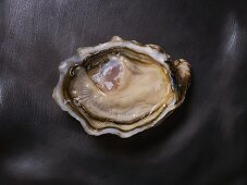 A rose oyster