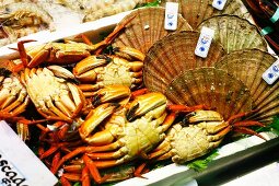 Crabs and Diver Scallops at a Market in Spain
