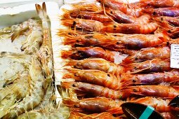 Langostinos and Rose Shrimp on Ice at a Market in Spain