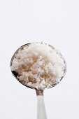 Pink Inca salt on a spoon