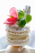 Macaroons with whisky cream filling, decorated with edible flowers, sprouts and silver leaf