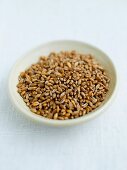 A bowl of wheat grains