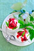 Sour cream mousse with raspberry sauce and raspberries