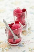 Raspberry sorbet with fresh raspberries