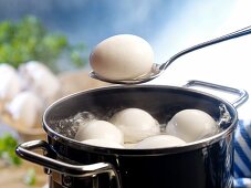 Eggs in pot of boiling water, one on a spoon