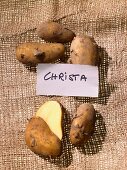 Christa potatoes
