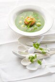 Cold mange tout and salmon soup