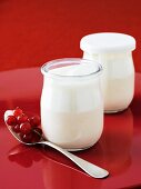 Two Jars of Plain Greek Yogurt; Fresh Currants on a Spoon