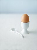 Boiled egg in egg cup