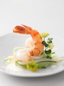 A prawn on courgette salad