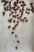 Coffee beans on an old baking tray