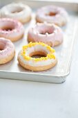 Doughnuts with sugar glaze on a baking tray