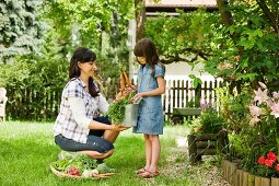 Mother and daughter picking vegetables in garden