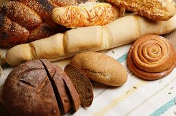 Various types of bread and bread rolls