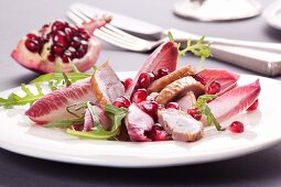 Goose breast with pomegranate seeds on a radicchio salad
