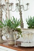 Champagne flutes, flower arrangement in amphora and candelabra