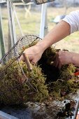 Lining a wire basket with moss