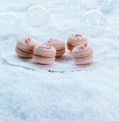 Raspberry and fig macaroons for Christmas