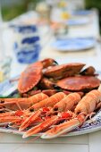 Crabs and langoustines on a table laid for a meal