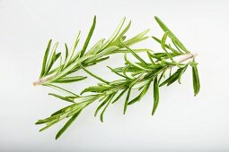 Two sprigs of rosemary