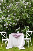 Set garden table and white chairs in front of profusely flowering lilac trees