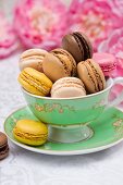 An elegant tea cup filled with colourful macaroons