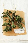 Dried stinging nettles (Urtica dioica)