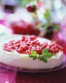 Chilled cheesecake with redcurrants