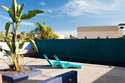 Contemporary sun loungers in a hotel courtyard with swimming pool