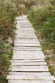 Narrow wooden path through the dunes