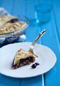 Piece of Blueberry Pie with Pie Server on a Plate