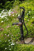 Old hand pump in garden