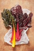 Chard with colourful stems on a piece of paper