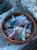 Verschiedene frische Fische in Tonschüssel auf Steinmauer