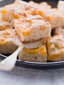 Aprikosen-Nuss-Kuchen mit Mandelblättchen