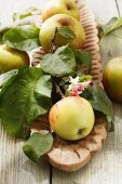 An arrangement of apples with blossoms