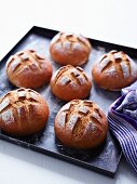 Bread rolls on a baking tray