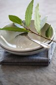 Sprig of bay and silver fork in a dish